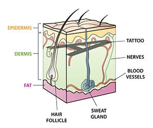 tatuering bläck Hud nivå