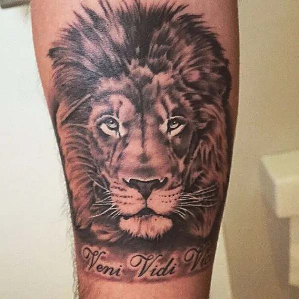 Photorealistic veni vidi vici lion tattoo