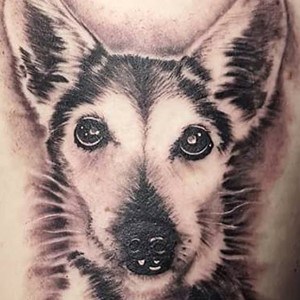 wolf portrait tattoo