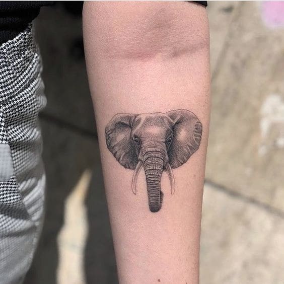 Elephant Head Tattoo