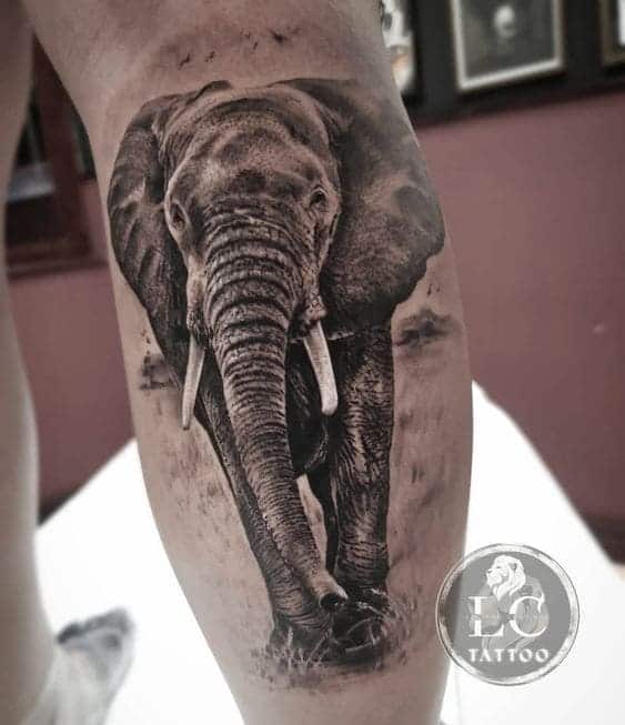 Realistic Elephant Tattoo