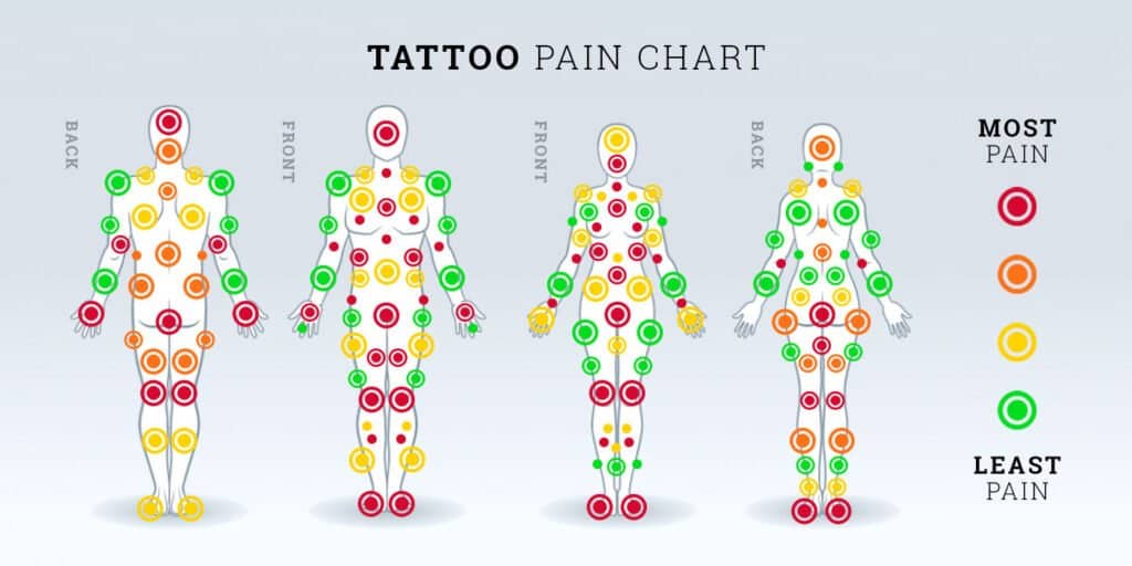 Tattoo Pain Chart Male and Female Where Does it Hurt the Most and  Least  Sorry Mom  Sorry Mom Shop